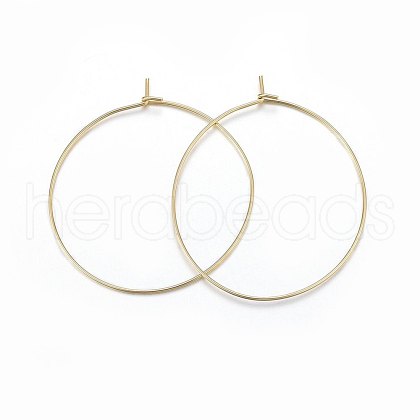 316 Surgical Stainless Steel Hoop Earrings STAS-P210-26G-01-1