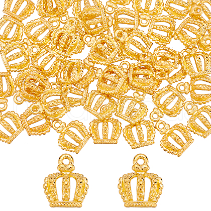 SUNNYCLUE Alloy Charms FIND-SC0003-02-1