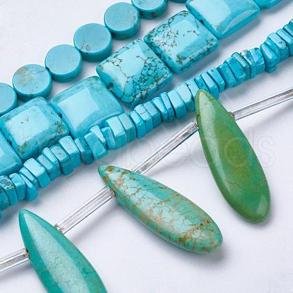 Natural Magnesite Beads Strands TURQ-K003-09-1