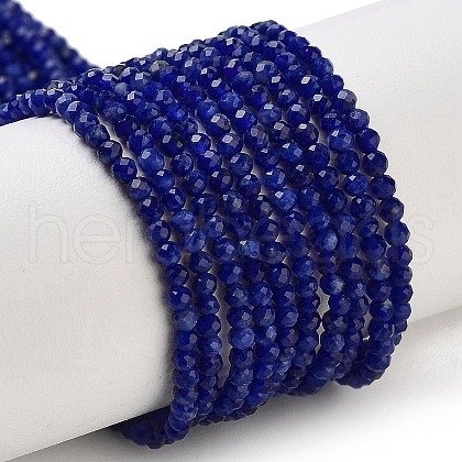 Natural Sodalite Beads Strands G-B088-C04-02-1