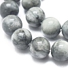 Natura Hawk's Eye Beads Strands G-D0001-22B-10mm-3