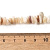 Natural Shell Beads Strands BSHE-G029-01B-5