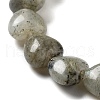 Natural Labradorite Beads Strands G-P528-C05-01-4