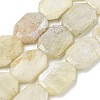 Natural Rainbow Moonstone Beads Strands G-P544-B05-01-2