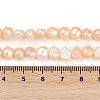 Natural Cultured Freshwater Pearl Beads Strands PEAR-P064-19H-02C-5
