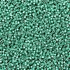 MIYUKI Delica Beads SEED-J020-DB1182-1