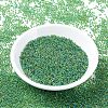 MIYUKI Round Rocailles Beads SEED-G007-RR0341-2