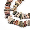 Natural Polychrome Jasper/Picasso Stone/Picasso Jasper Beads Strands G-T140-63-3