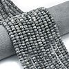 Natural Larvikite Beads Strands G-P575-A38-6x4mm-1