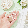 Glass Pearl Beads Strands SHEL-WH0001-009B-1-4