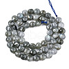 Natural Labradorite Beads Strands X-G-S354-24-A-3