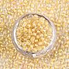 6/0 Glass Seed Beads X1-SEED-A015-4mm-2202-3