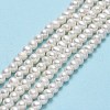 Natural Cultured Freshwater Pearl Beads Strands PEAR-F018-13A-01-2