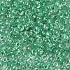 6/0 Glass Seed Beads X-SEED-A015-4mm-2218-2