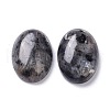 Natural Black Larvikite Cabochons X-G-Z020-10-2
