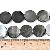 Natural Black Lip Shell Beads Strands BSHE-D300-05-20mm-2