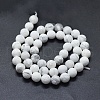 Natural Howlite Beads Strands G-D0013-65-2