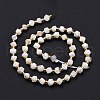 Natural Rainbow Moonstone Beads Strands G-P463-15-5