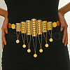 Luxurious Elegant Zinc Alloy & Brass Material Floral Tassel Coin Pendant Waist Chains for Women WN1140-4