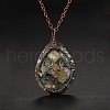 Double Sided Natural Paua Shell Copper Wire Wrapped Tree of Life Teardrop Pendant Necklaces FS-WG9357B-01-3