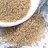 MIYUKI Round Rocailles Beads X-SEED-G007-RR1003-1