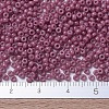 MIYUKI Round Rocailles Beads X-SEED-G007-RR4487-4