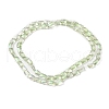 Transparent Electroplate Glass Beads Strands EGLA-I017-03-FR03-2