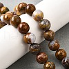 Natural African Opal Beads Strands G-S390-06-10mm-1