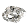 Natural Eagle Eye Stone Beads Strands G-P497-01C-14-3