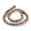 Natural Maifanite/Maifan Stone Beads Strands G-I187-6mm-01-8