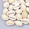 Cowrie Shell Links connectors SSHEL-Q310-01A-02-1