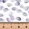 Frosted Glass Seed Beads SEED-N008-05I-4
