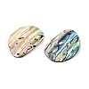 Natural Paua Shell Pendants SHEL-T020-12-2