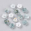 Frosted Transparent Acrylic Beads X-OACR-N137-72L-2