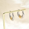304 Stainless Steel Two Tone Hoop Earrings EJEW-F355-03GP-02-3
