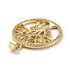 Brass Micro Pave Colorful Cubic Zirconia Pendants ZIRC-E165-05G-3