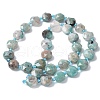 Natural Amazonite Beads Strand G-C116-A88-01-3