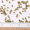 MIYUKI Delica Beads SEED-X0054-DB1739-3