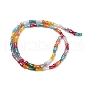 Handmade Lampwork Beads Strands LAMP-S070-07A-2