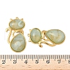 304 Stainless Steel Resin Pendants STAS-V015-59G-02-3