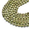 Natural Alashan Agate Beads Strands G-K389-B68-01-3