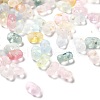 Gradient Color Transparent Frosted Acrylic Beads X1-OACR-M023-06A-1