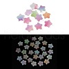 Luminous Resin Decoden Cabochons RESI-K036-11-1