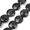 Natural Larvikite Beads Strands G-U018-I08-01-1