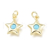 Brass Charms X-ZIRC-L076-057G-1