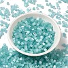 Glass Seed Beads SEED-H002-D-A812-2