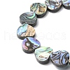 Natural Paua Shell Beads Strands SHEL-F006-04-3
