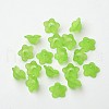 Transparent Acrylic Beads PL560-5-2