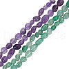 GOMAKERER 4 Strands 2 Styles Natural Amethyst & Green Aventurine Beads Strands G-GO0001-01-1