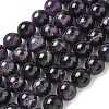 Natural Amethyst Beads Strands G-L595-C02-04-1